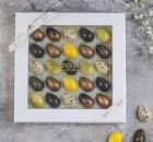 Xocolatl påskeæg 25 styk i gaveæske